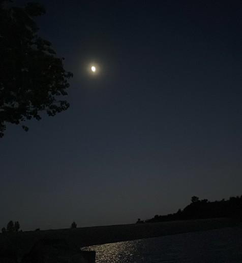 Mehmet Yıldırım-Sevda Masalı 170725.jpg